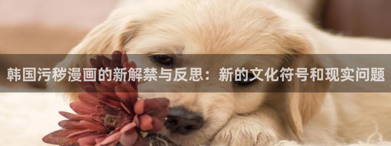 禁漫天堂永久发布页