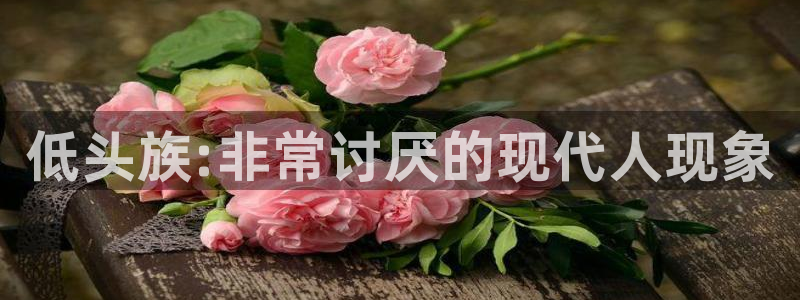 免费a漫 禁漫天堂