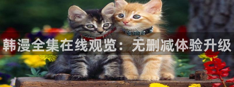 禁漫天堂网页版入门