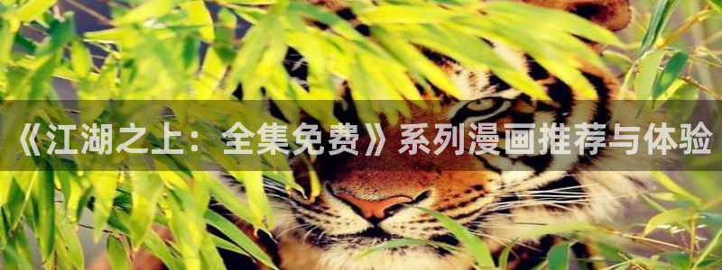 禁漫天堂怎么下载漫画