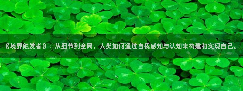 禁漫天堂进不去：《境界触发者》：从细节到全局，人类如何通过自我感知与认知来构建和实现自己。