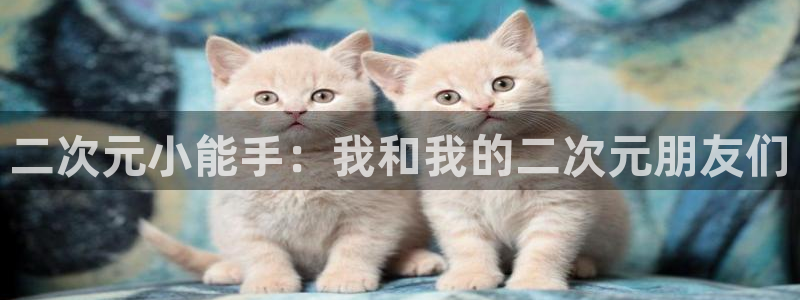 禁漫天堂卡