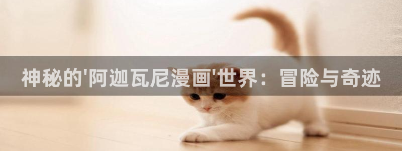 禁漫天堂为什么看不了动漫