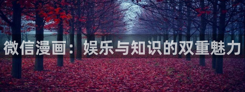 禁漫天堂软件库