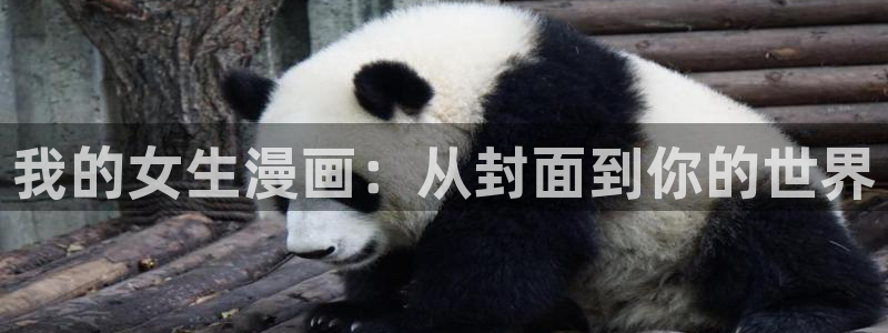 禁漫天堂用什么加速