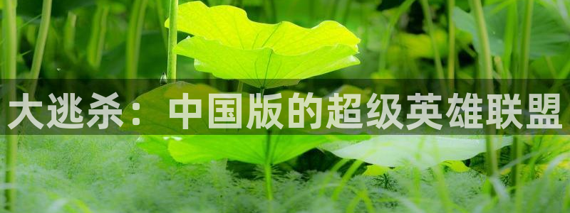 禁漫天堂要开加速器吗