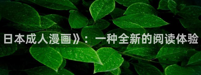 禁漫,天堂