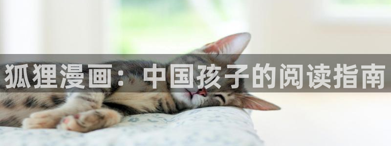 禁漫天堂软件在线观看