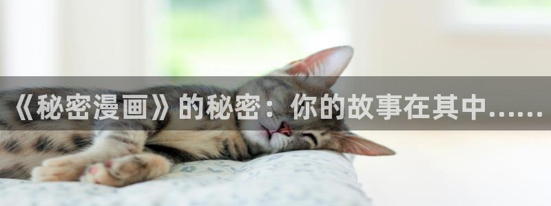 禁漫天堂怎么上：《秘密漫画》的秘密：你的故事在其中……